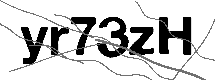 Loading CAPTCHA Image...